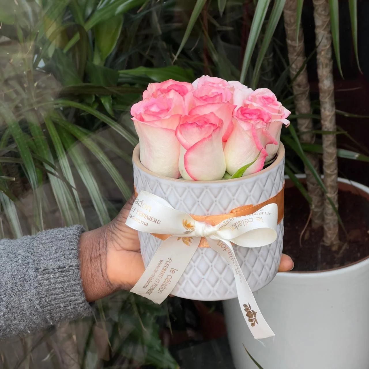 Lovely porcelaine roses