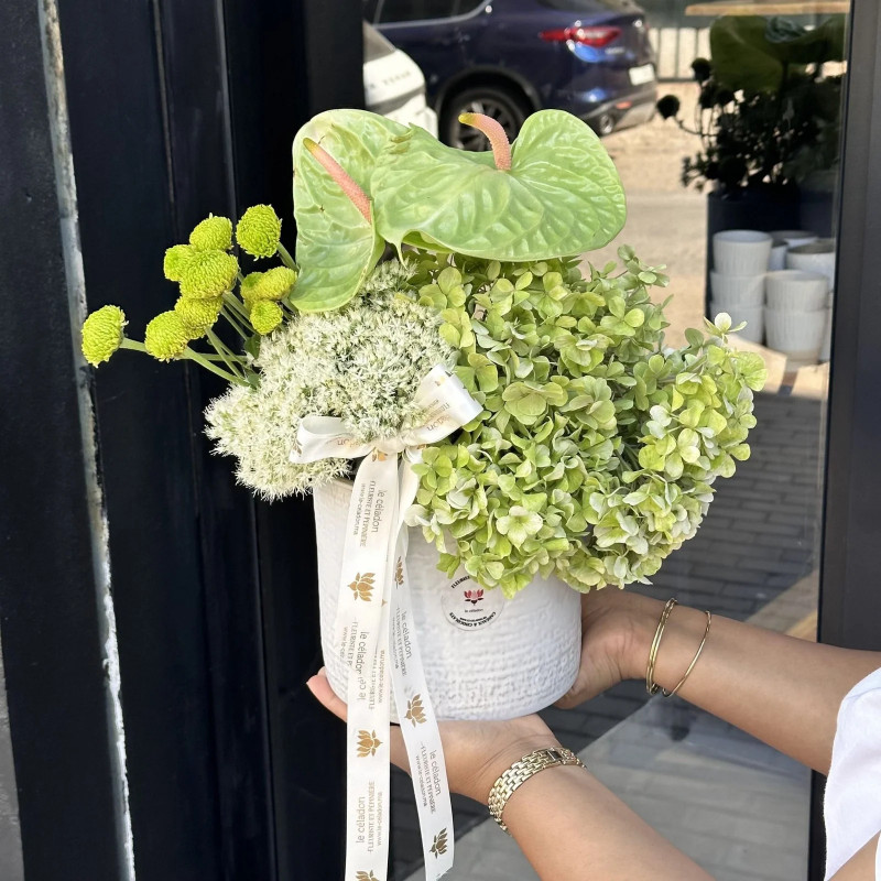 Le Baron Florale