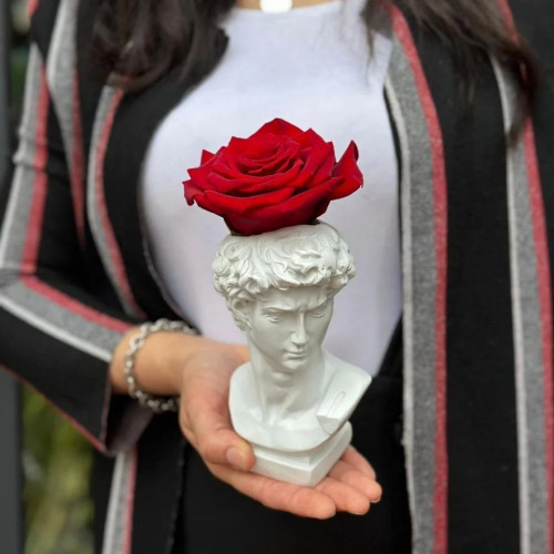 Napoléan Cadeau Napoléan Cadeau