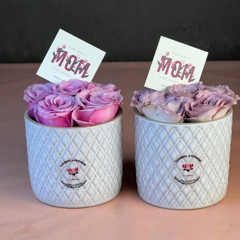 Duo Lovely Porcelaine Spé Maman 