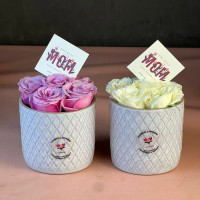 Duo Lovely Porcelaine Spé Maman 