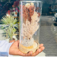 Deal Fleurs Séchée nud