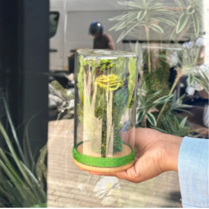 Deal Fleurs Séchée green