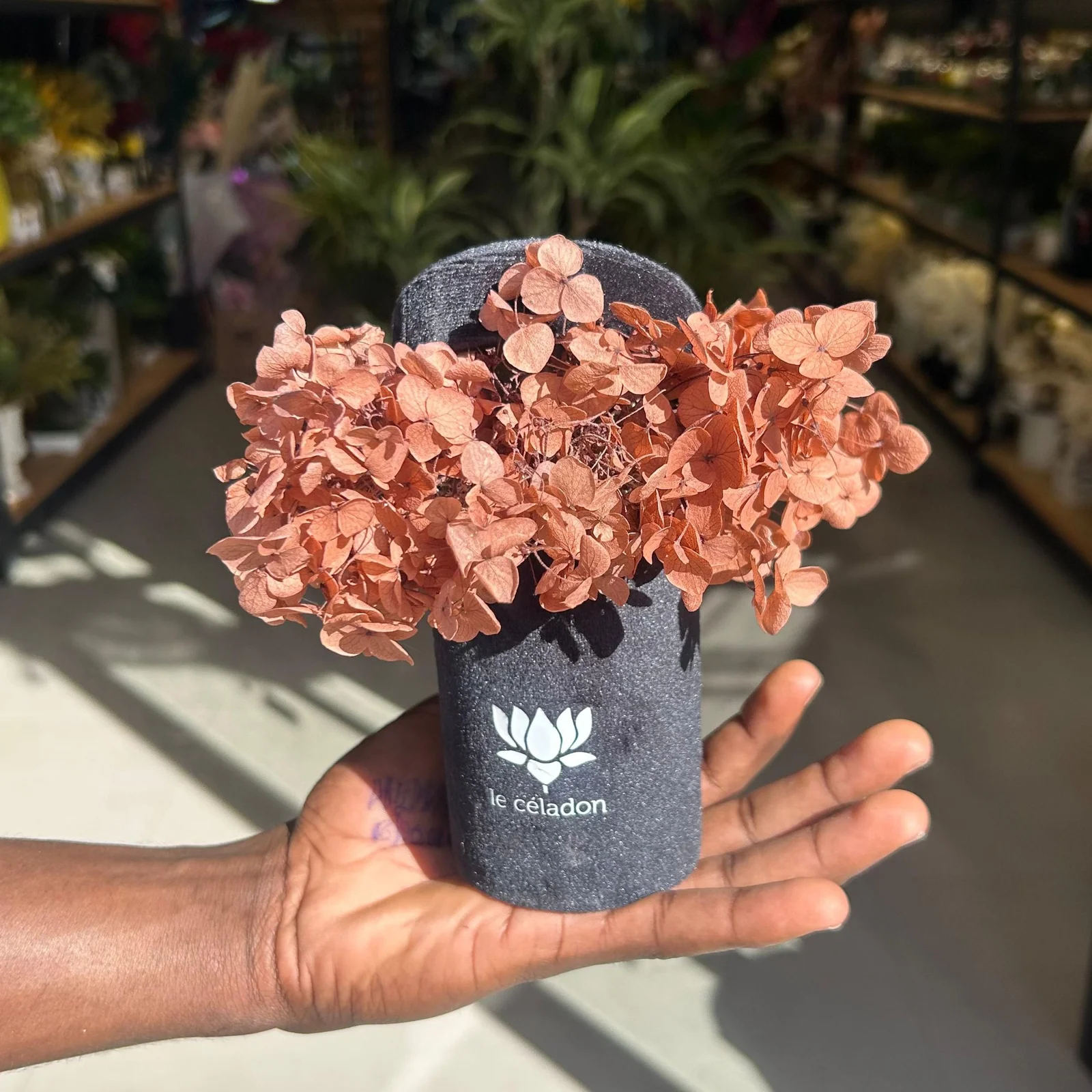 Le céladon chapeau Brown