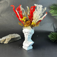  Napoléon – Têtes de Fleurs Séchées 