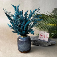 Collection Spéciale 8 Mars – Hommage à la Femme