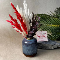 Collection Spéciale 8 Mars – Hommage à la Femme