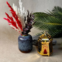 Collection Lumière & Prestige 