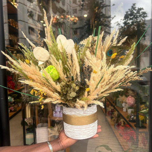 Lumière Verte Lumière Verte