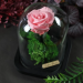 Rose éternelle Rose éternelle