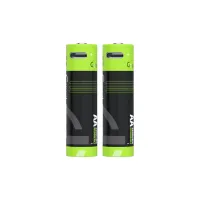 Goui Piles Rechargeables avec port Type-C AA (2 pièces)