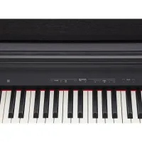 Roland RP30