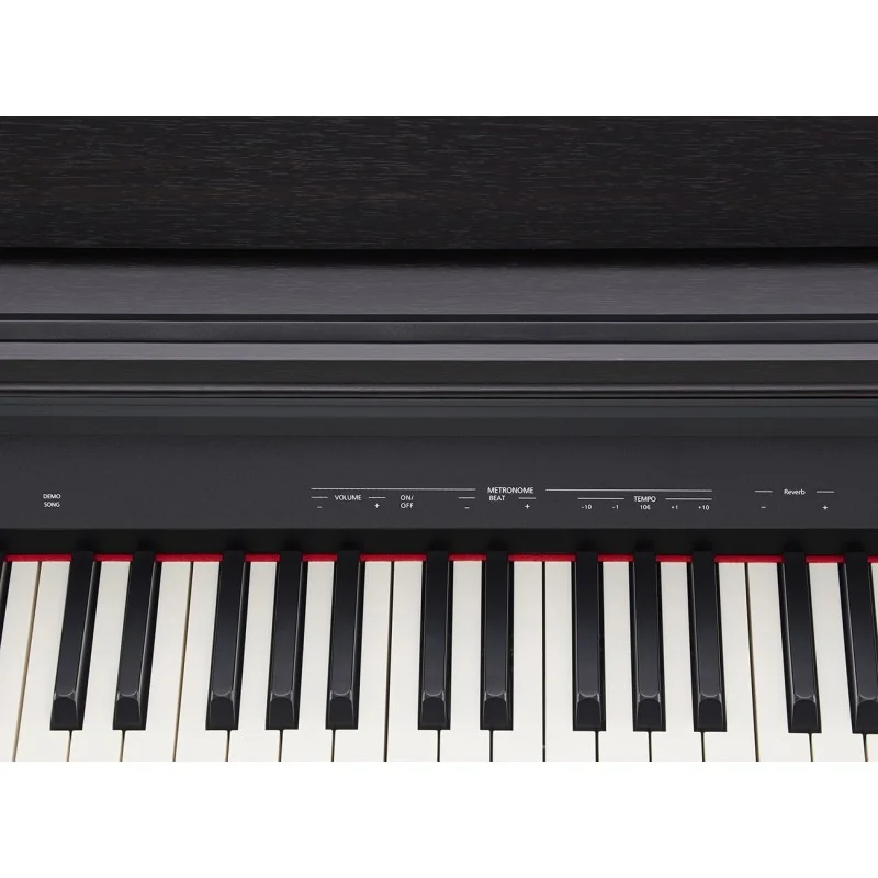 Roland RP30