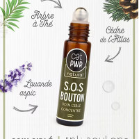 Routine PURIFIANTE pour peau ACNEIQUE / Anti-Boutons & Taches