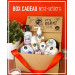 BOX CADEAU / Coffrets de Soins Cosmétiques Naturels pour Fêtes et Anniversaires BOX CADEAU / Coffrets de Soins Cosmétiques Naturels pour Fêtes et Anniversaires