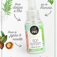 Routine PEAU GRASSE pour réguler efficacement l'excès de Sébum