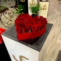 Mon cœur Entre 20 et 25 roses