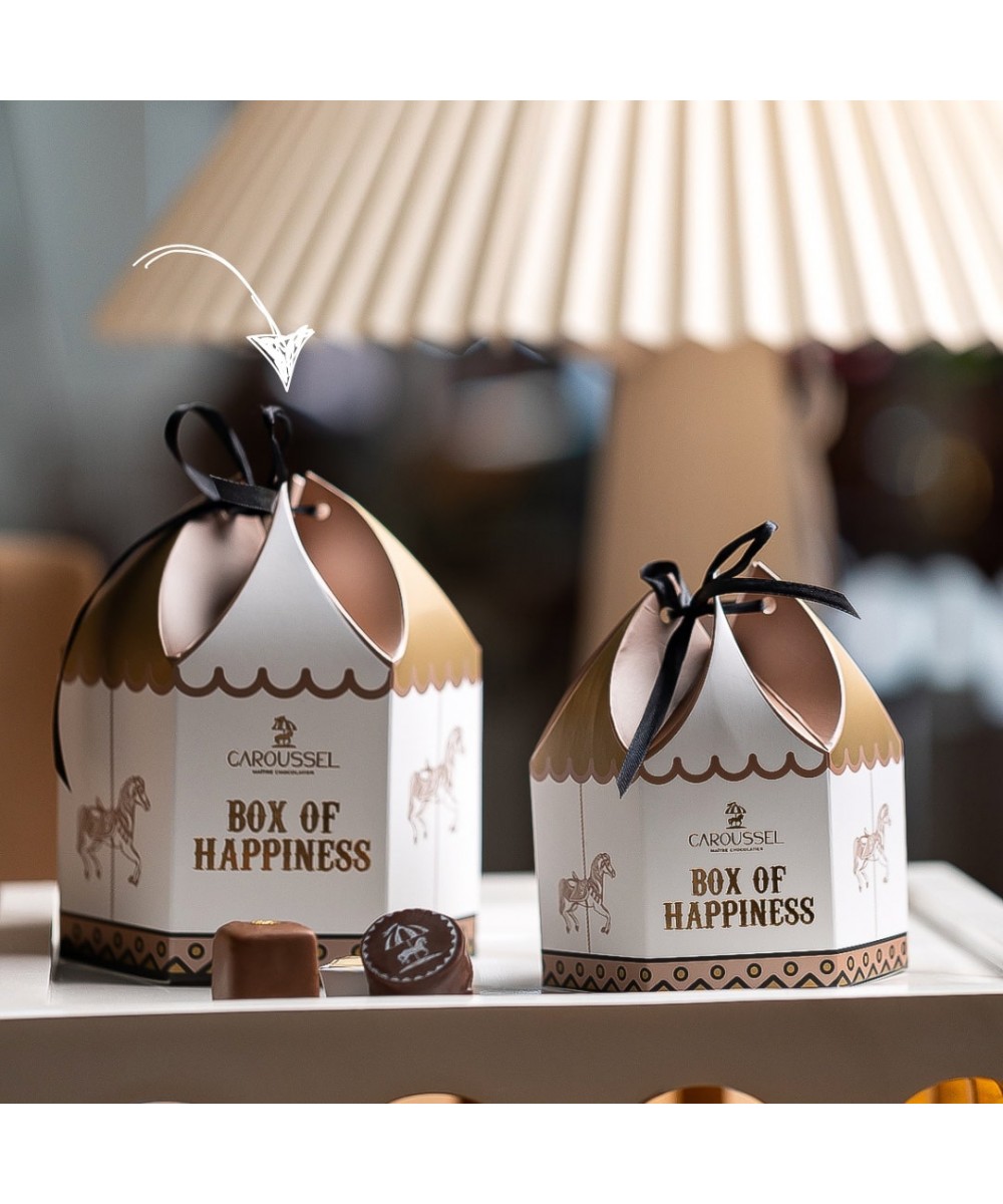 Ballotin de chocolat - 500 g
